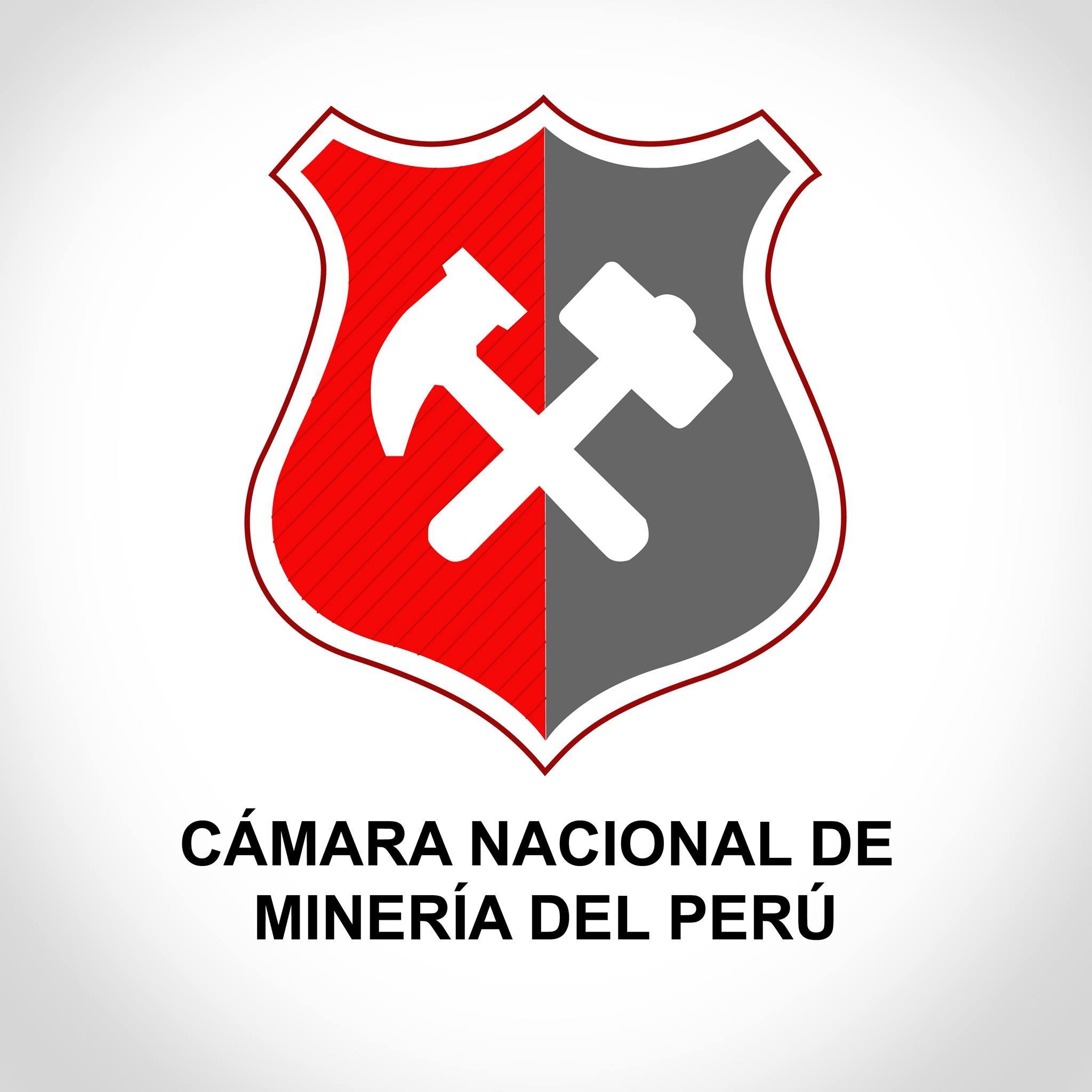 camaraminera
